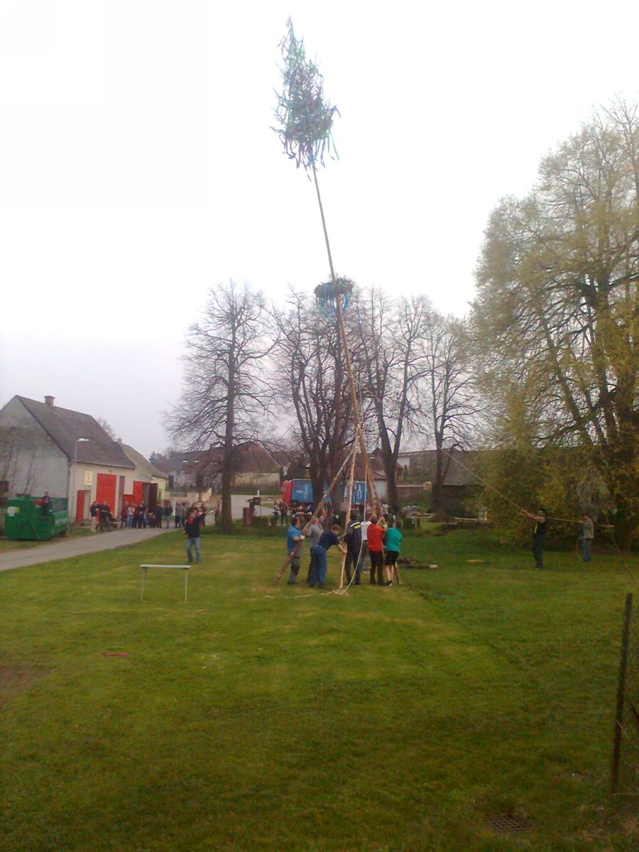 Fotografie1730